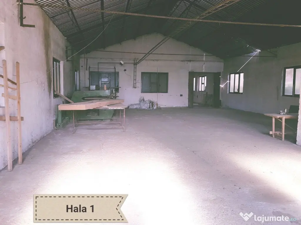 Spatiu comercial 680 mp. in Sebis - ID : RH-8786-property