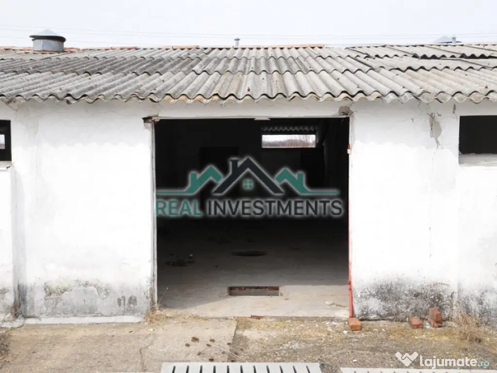 Ferma 14 ha. in Semlac - ID : RH-11069-property 