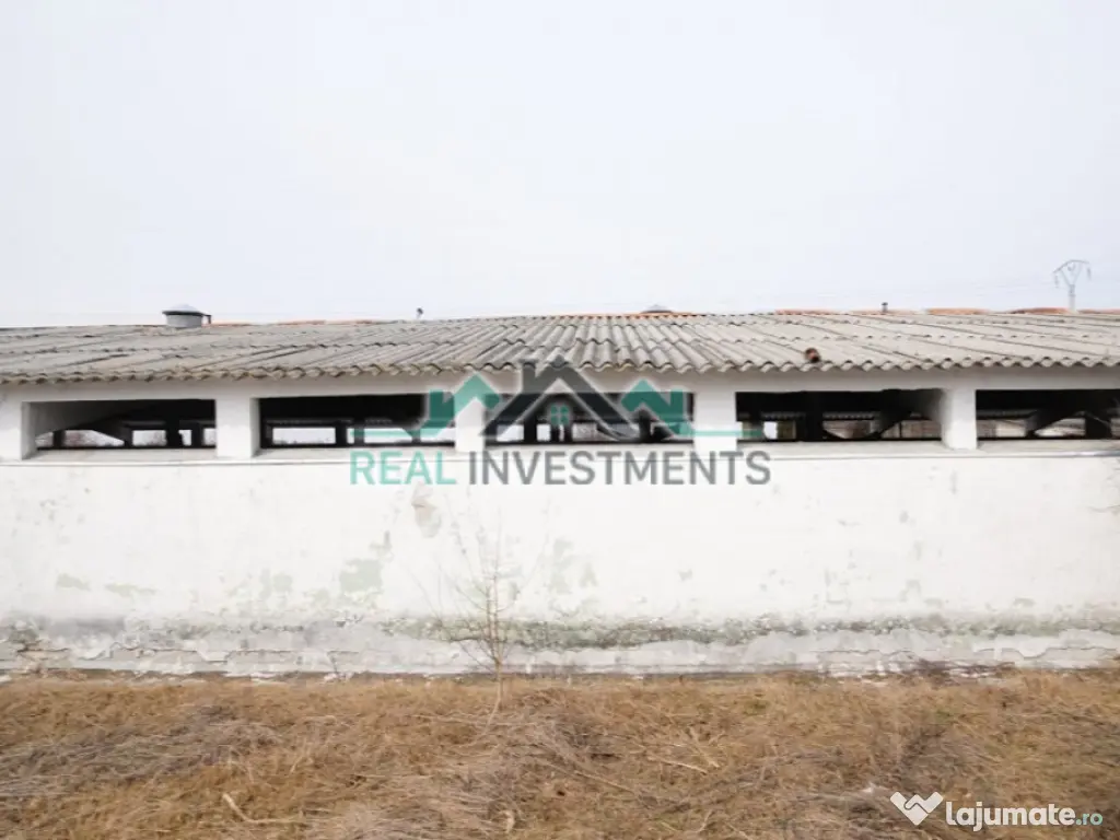 Ferma 14 ha. in Semlac - ID : RH-11069-property 