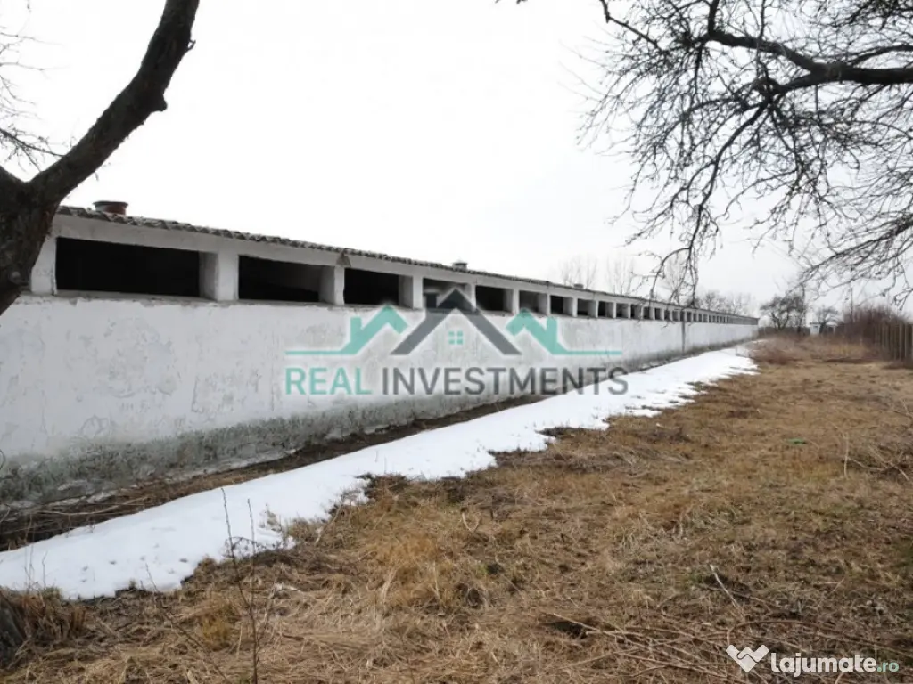 Ferma 14 ha. in Semlac - ID : RH-11069-property 