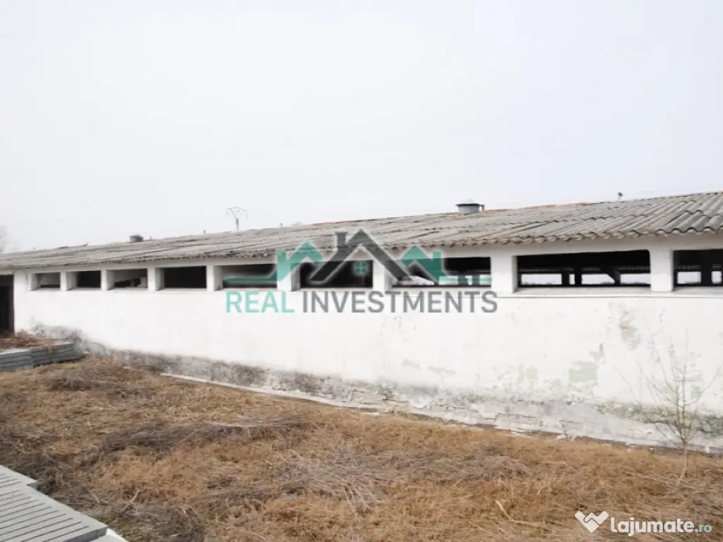 Ferma 14 ha. in Semlac - ID : RH-11069-property 