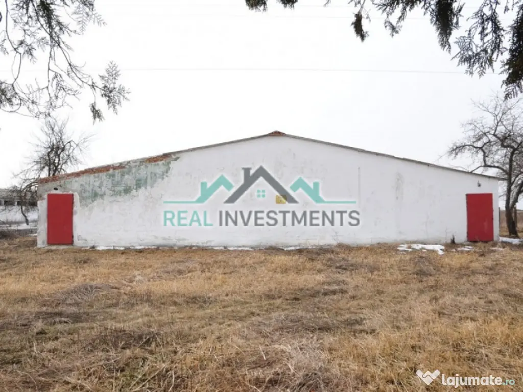 Ferma 14 ha. in Semlac - ID : RH-11069-property 