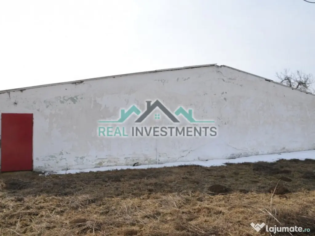 Ferma 14 ha. in Semlac - ID : RH-11069-property