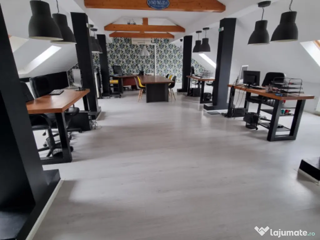 Spatii de Birou la Cheie 