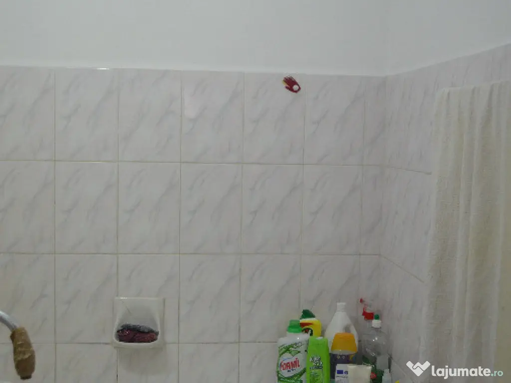 Busteni -apartament cu 2 camere ,parter 