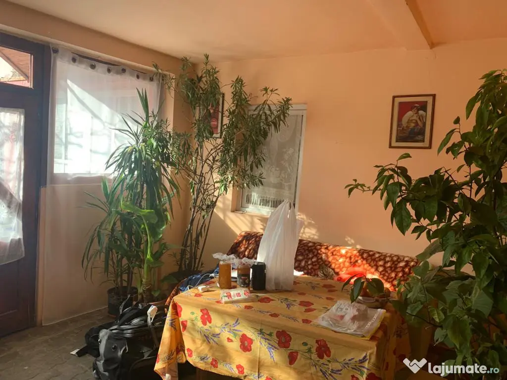 Inchiriez casa 10 cam. in Pancota - ID : RH-30973-property 