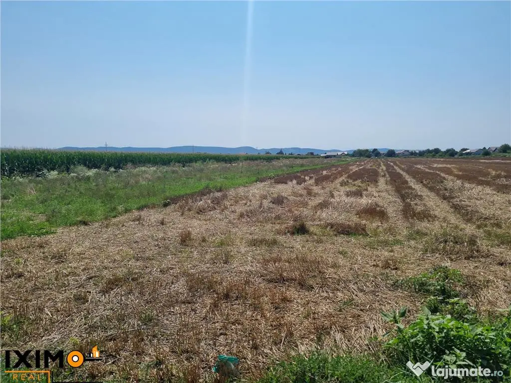 Teren Calea Barladului