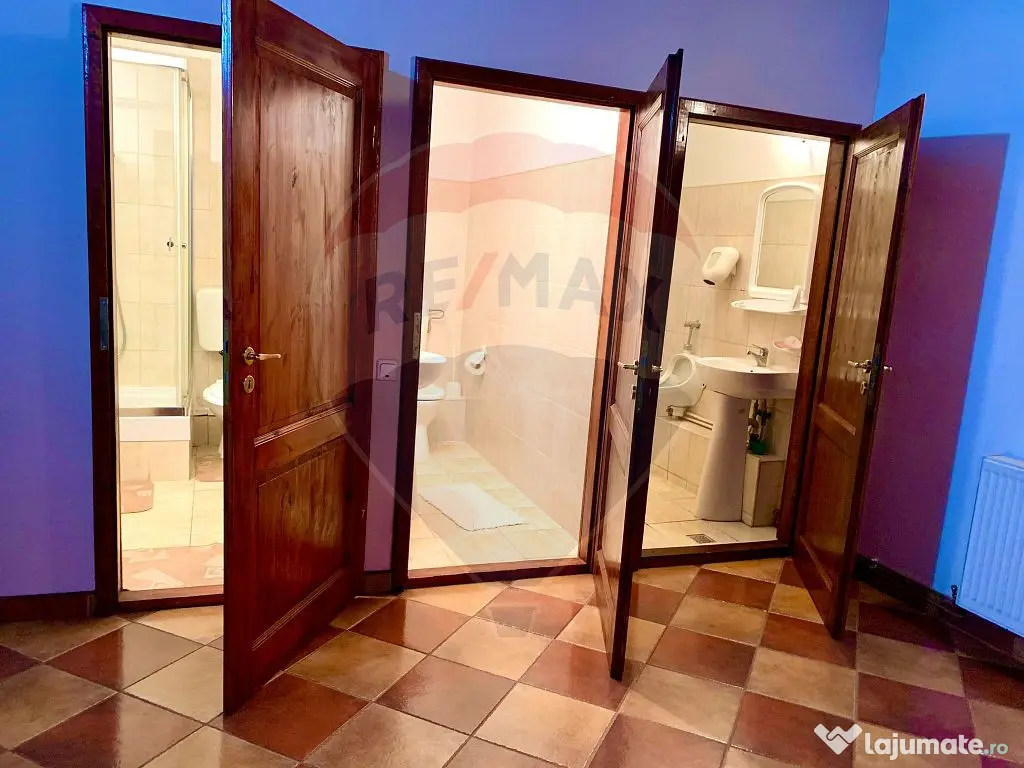 Pensiune cu 13 camere de vânzare in Bulz