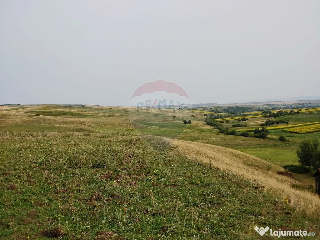 Teren parțial intravilan-300000mp Stroiești-Trei Movile...