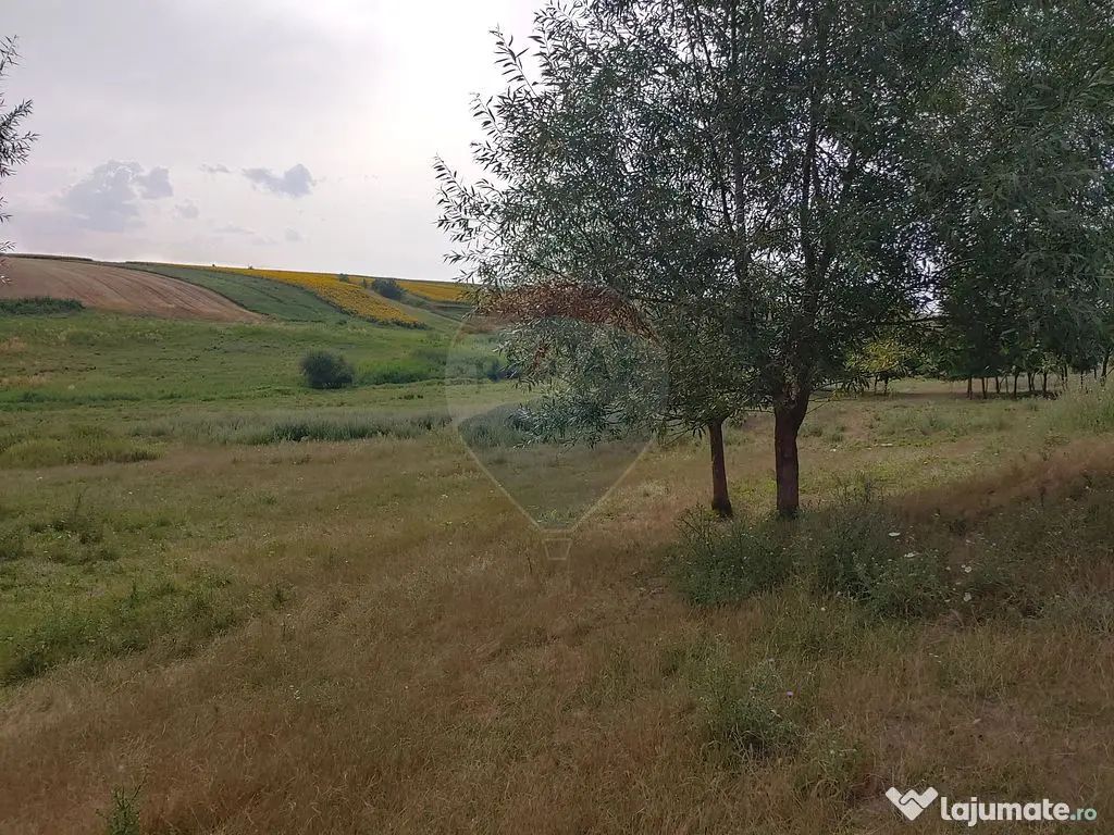 Teren parțial intravilan-300000mp Stroiești-Trei Movile...