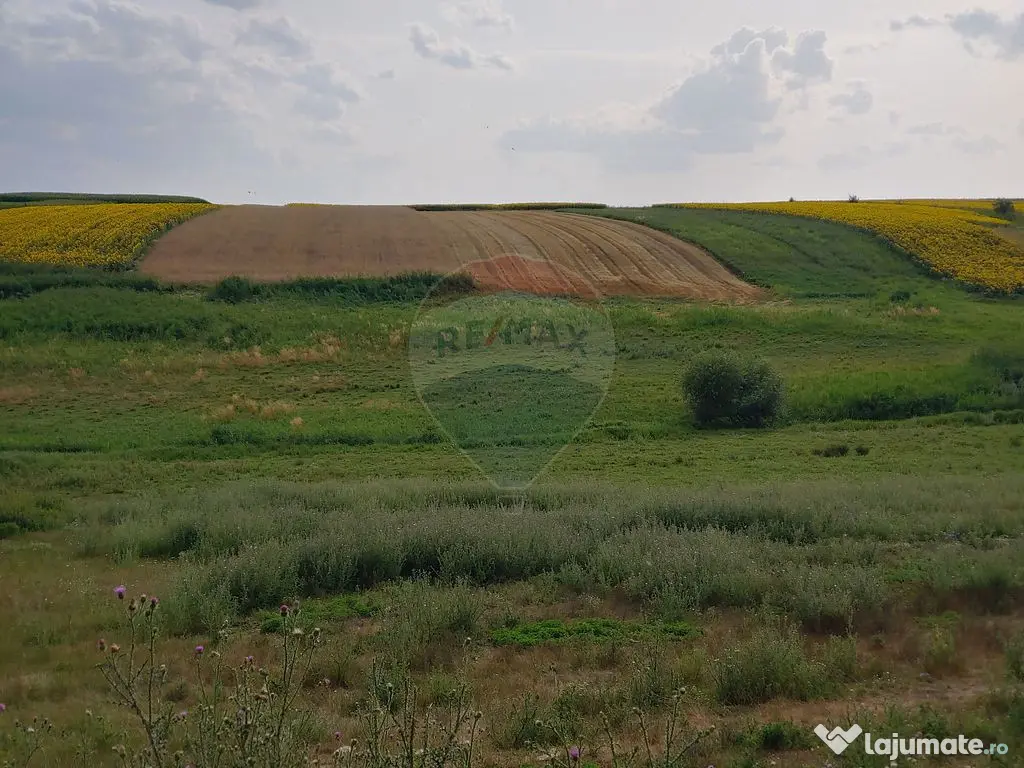 Teren parțial intravilan-300000mp Stroiești-Trei Movile...