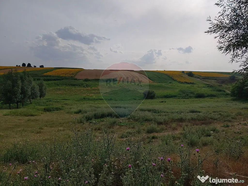 Teren parțial intravilan-300000mp Stroiești-Trei Movile...