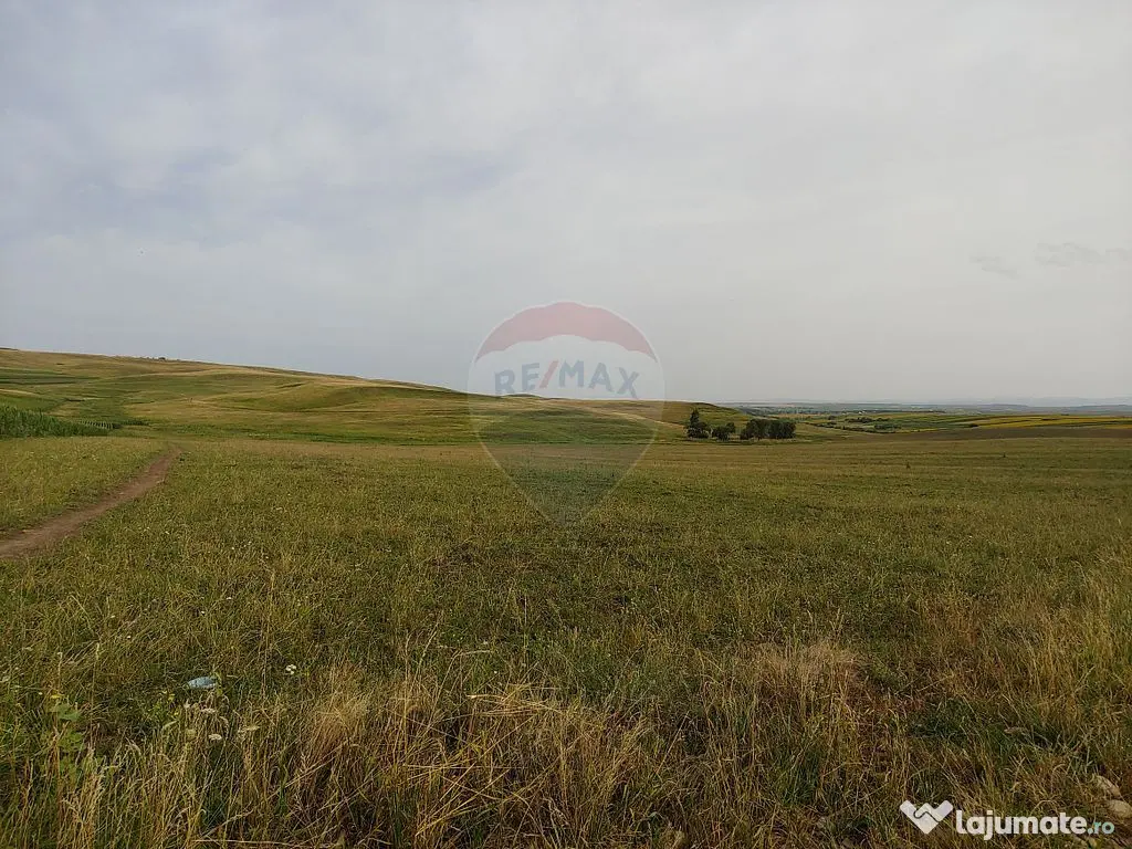 Teren parțial intravilan-300000mp Stroiești-Trei Movile...