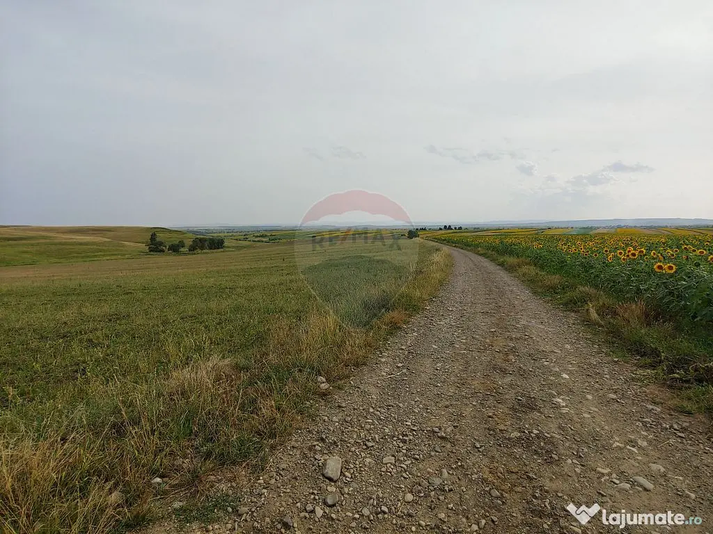 Teren parțial intravilan-300000mp Stroiești-Trei Movile...