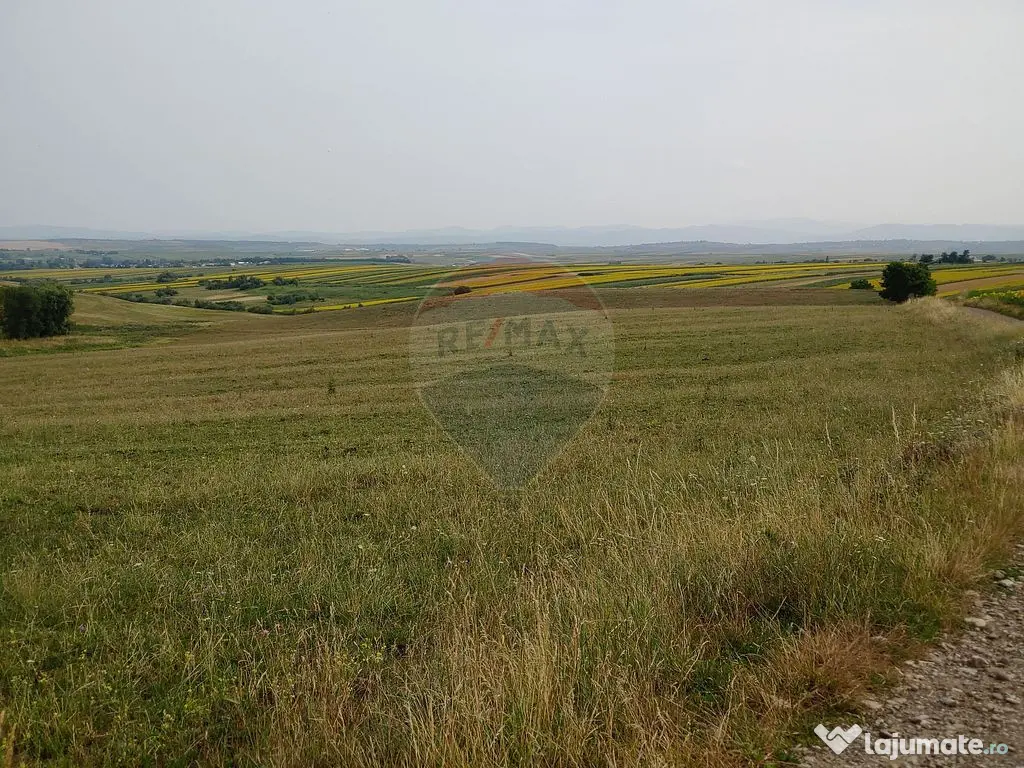 Teren parțial intravilan-300000mp Stroiești-Trei Movile...