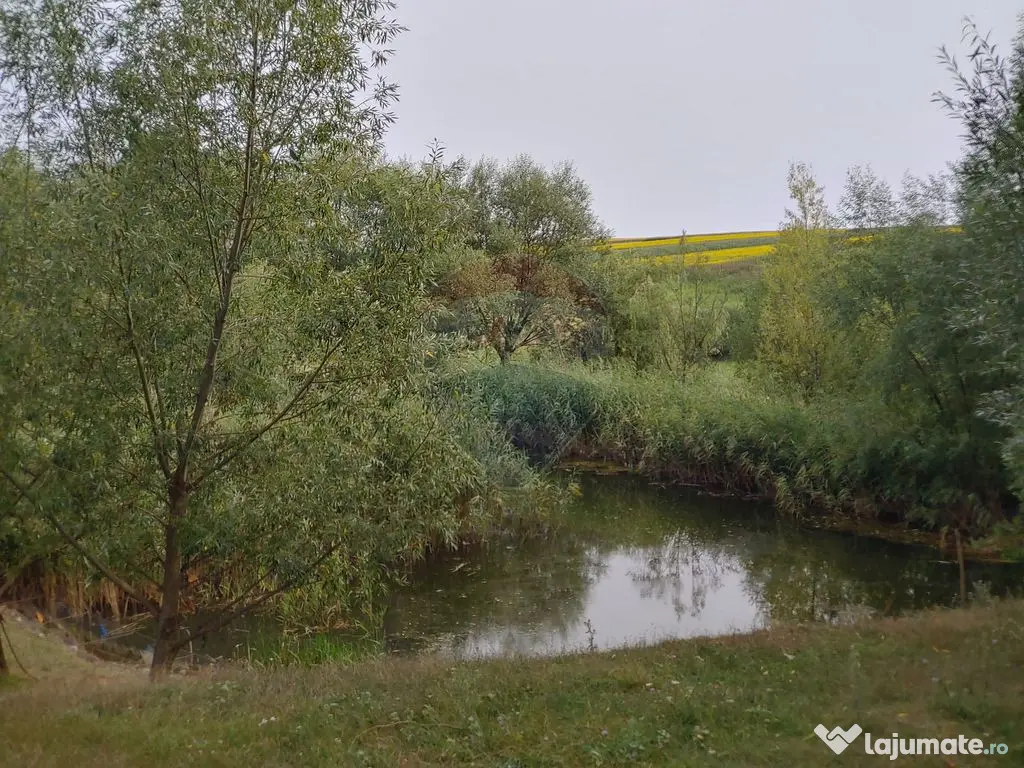 Teren parțial intravilan-300000mp Stroiești-Trei Movile...