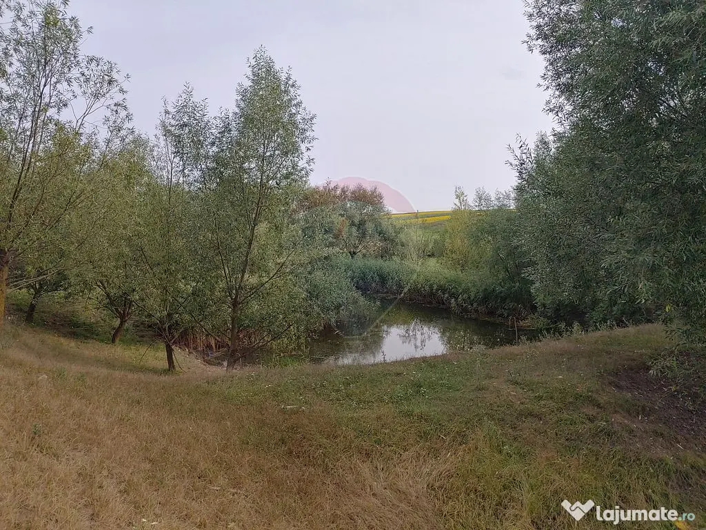 Teren parțial intravilan-300000mp Stroiești-Trei Movile...