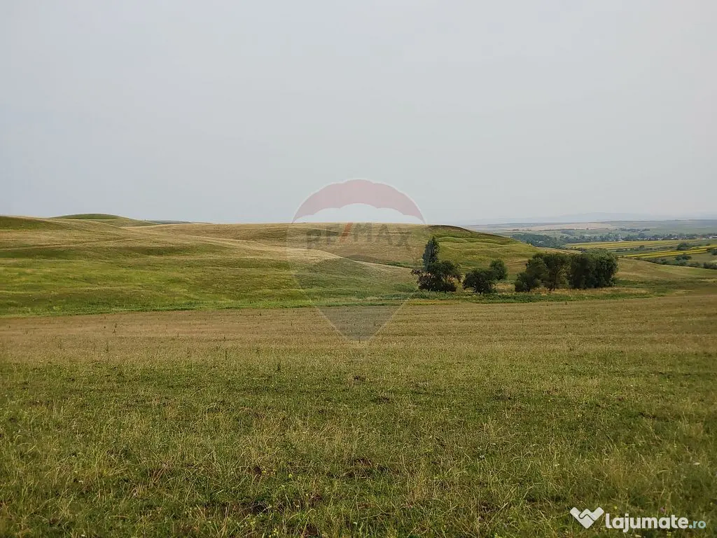 Teren parțial intravilan-300000mp Stroiești-Trei Movile...