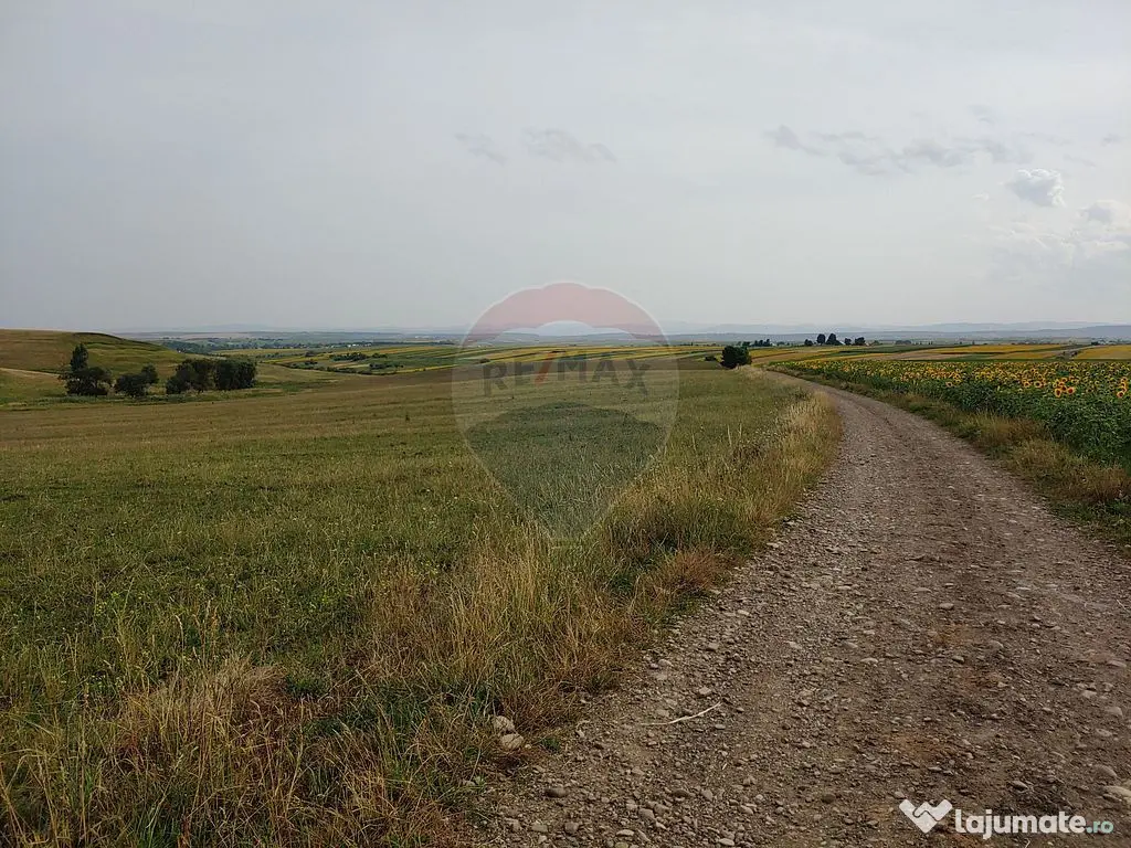 Teren parțial intravilan-300000mp Stroiești-Trei Movile...