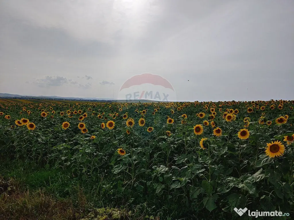 Teren parțial intravilan-300000mp Stroiești-Trei Movile...