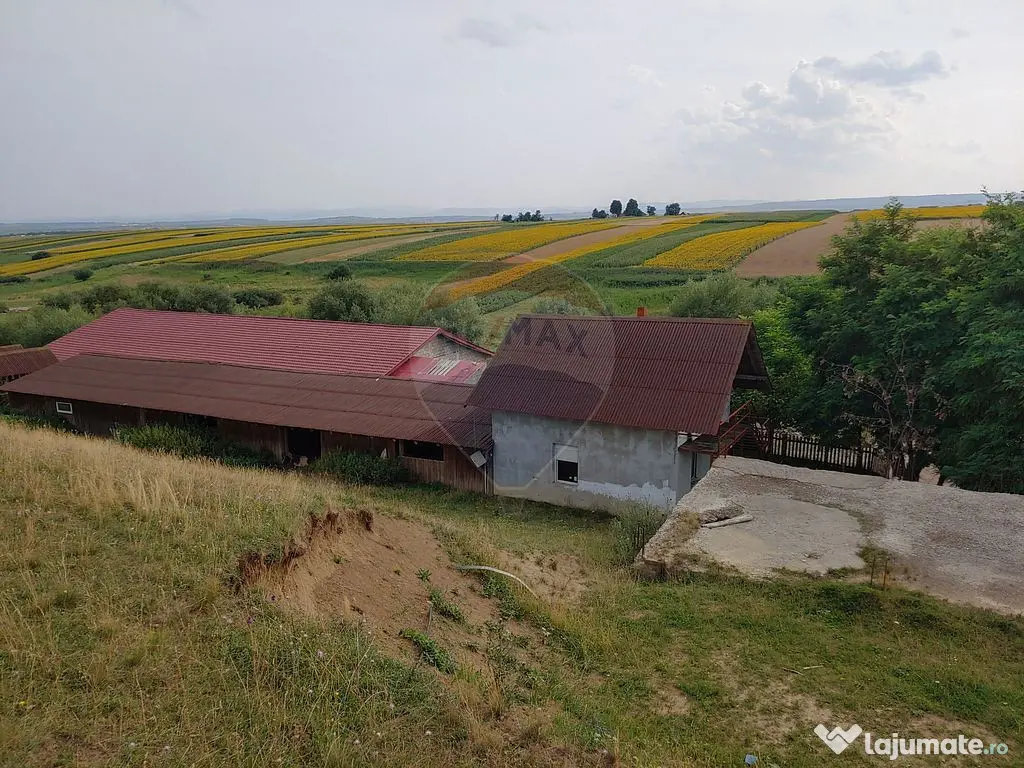 Teren parțial intravilan-300000mp Stroiești-Trei Movile...