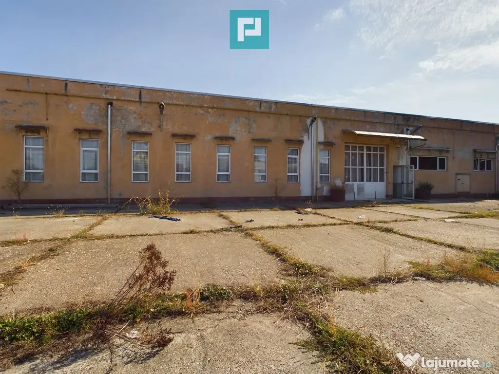 Spațiu industrial cu platformă betonată și teren 