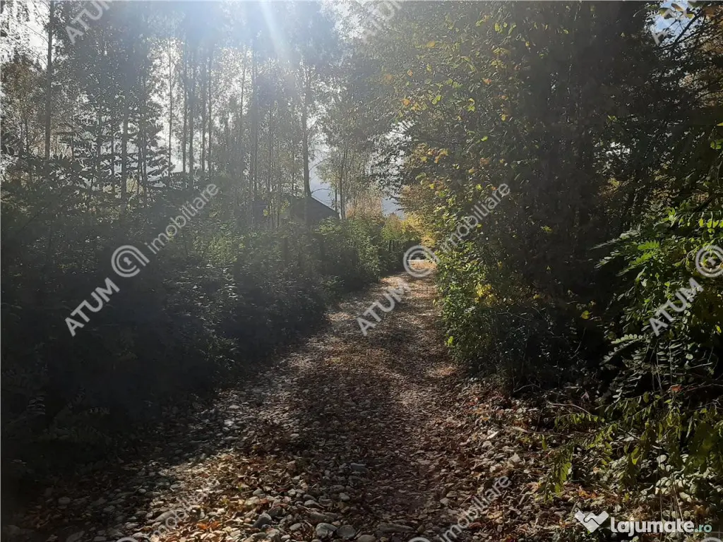 Teren intravilan de pe Valea Avrigului in suprafata de 1800 