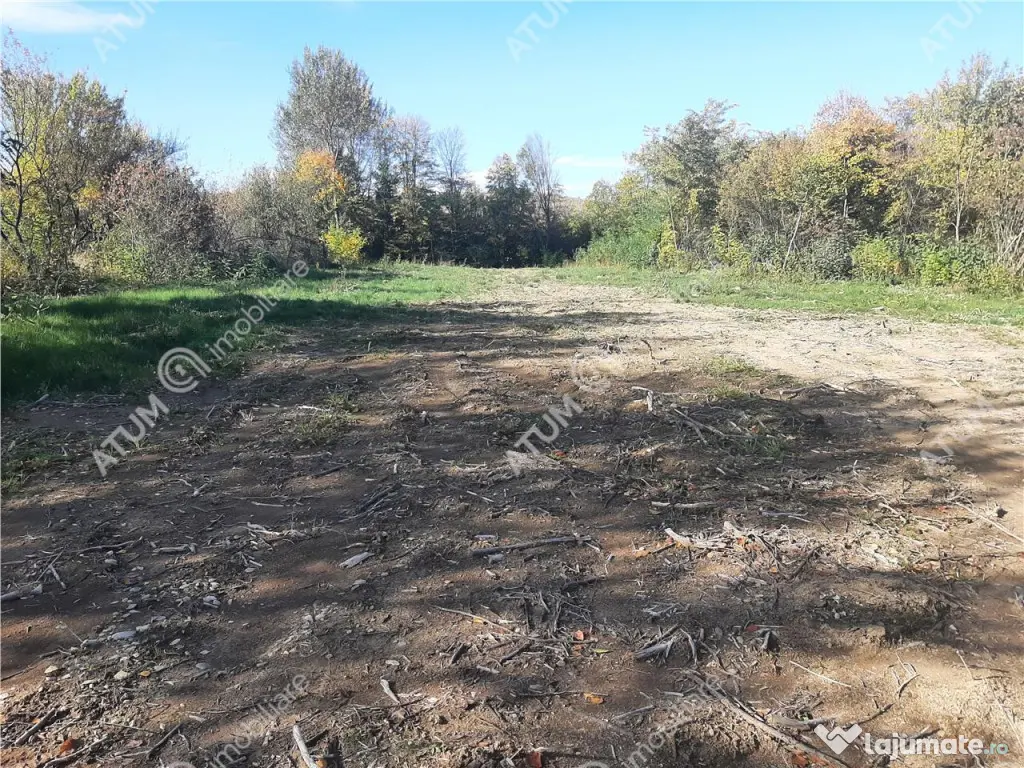 Teren intravilan de pe Valea Avrigului in suprafata de 1800 