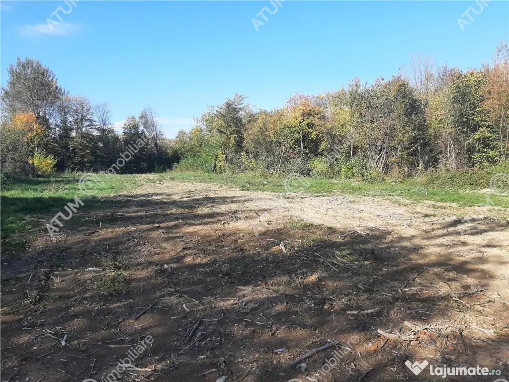 Teren intravilan de pe Valea Avrigului in suprafata de 1800 
