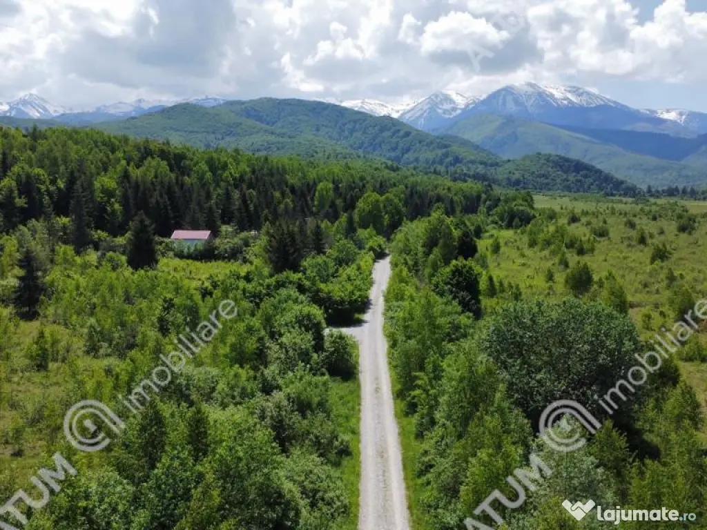 Teren intravilan de pe Valea Avrigului in suprafata de 1800 