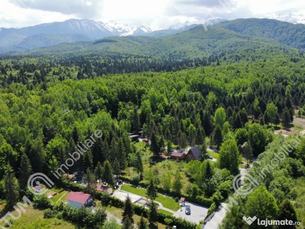 Teren intravilan de pe Valea Avrigului in suprafata de 1800 