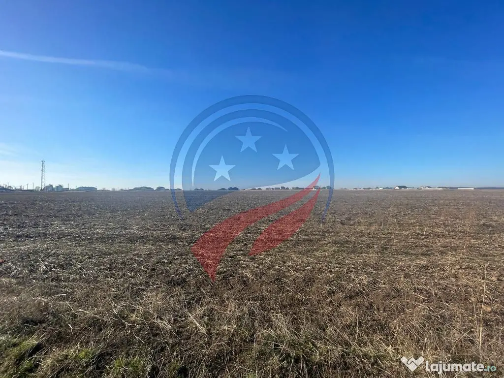 Teren 5000 mp Ghercesti in apropierea DEX