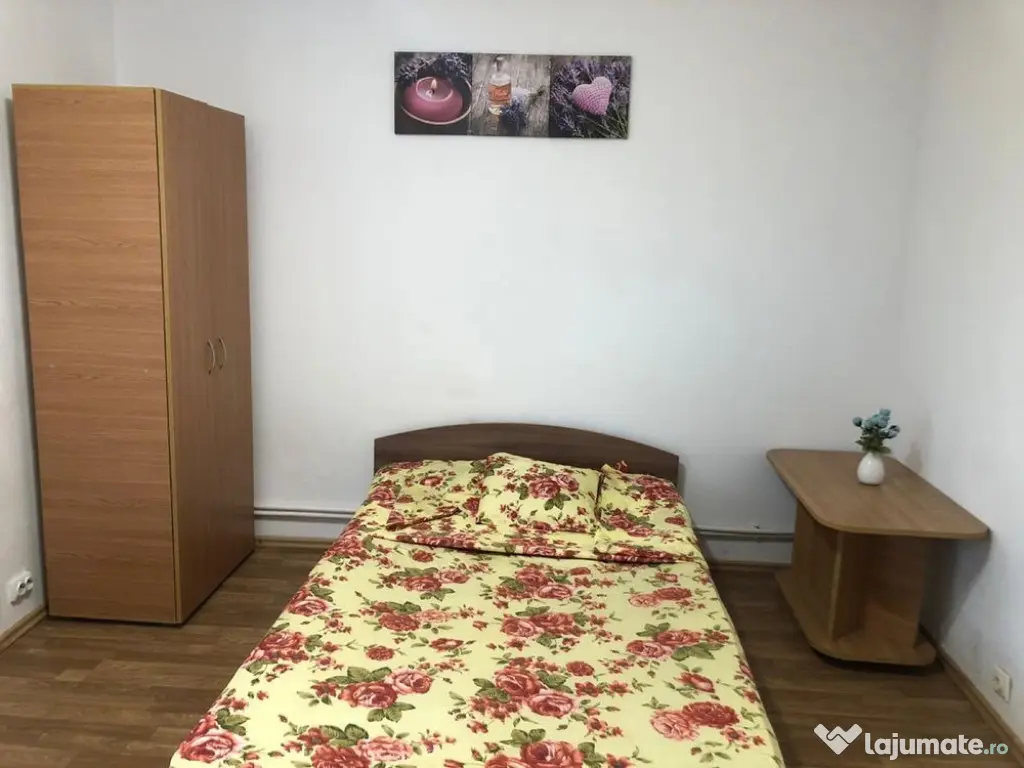 Garsoniera zona elisabetin