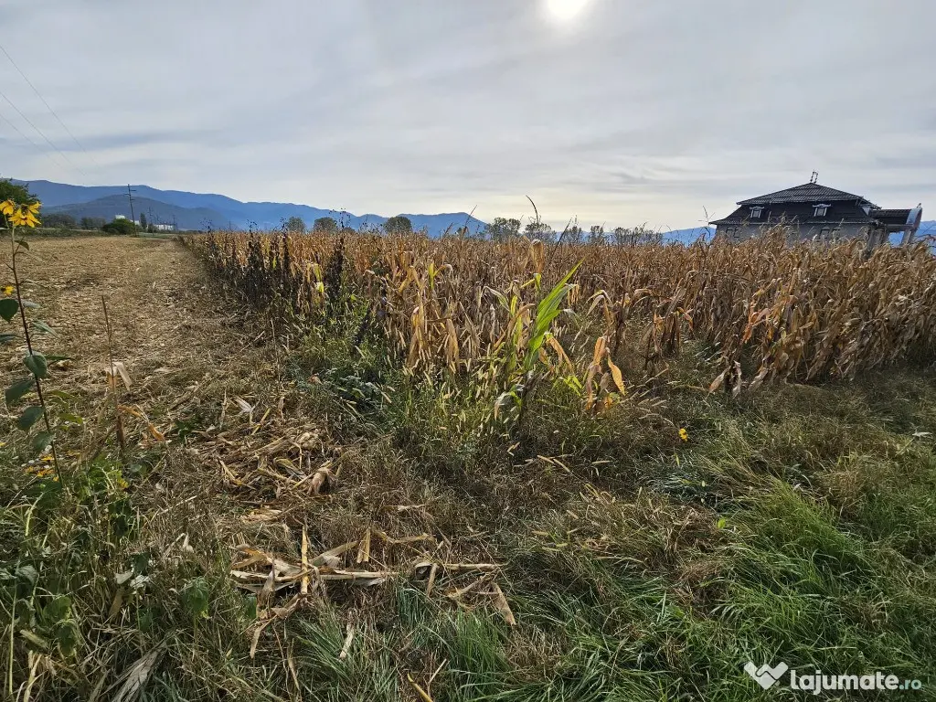 Teren intravilan Hateg 