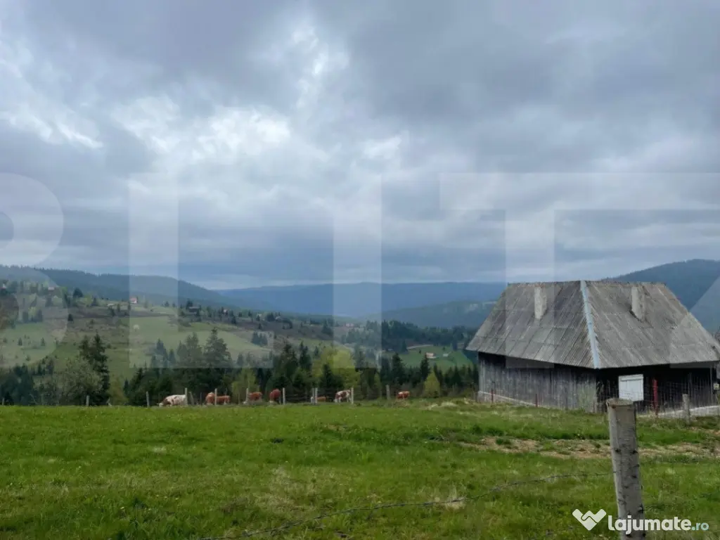 Ocazie! Casa de vacanta cu vedere la Lacul Belis