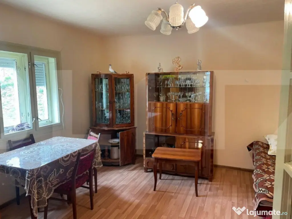 Ocazie! Casa de vacanta cu vedere la Lacul Belis