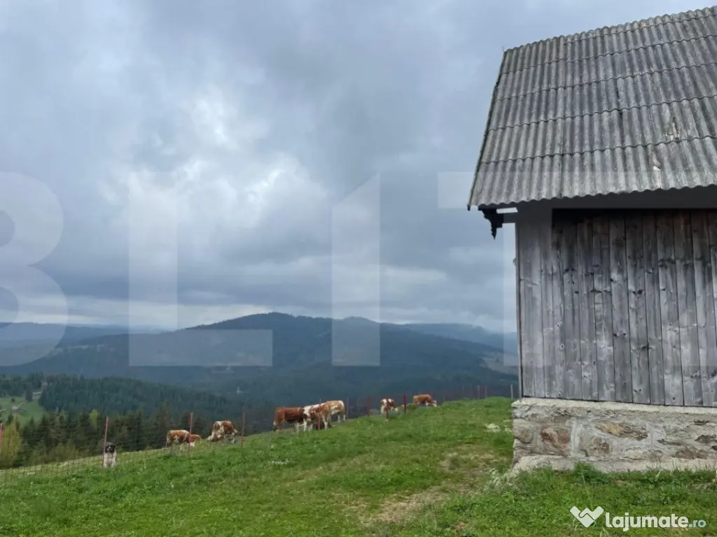 Ocazie! Casa de vacanta cu vedere la Lacul Belis