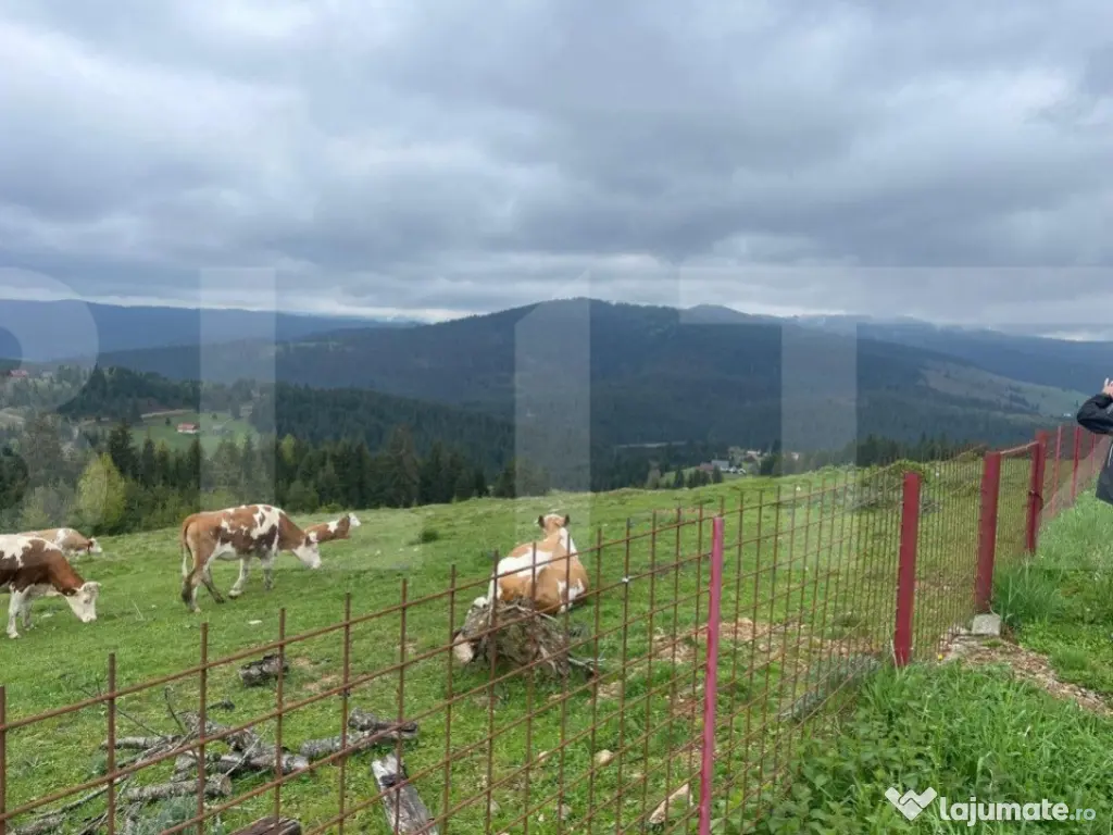Ocazie! Casa de vacanta cu vedere la Lacul Belis