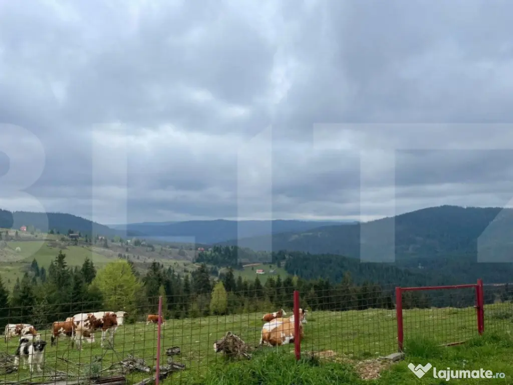 Ocazie! Casa de vacanta cu vedere la Lacul Belis