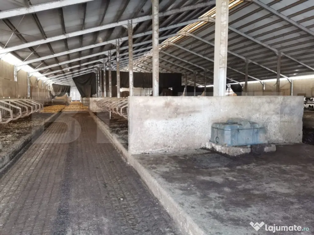 Hale si teren ,curte betonata , destinatii multiple 