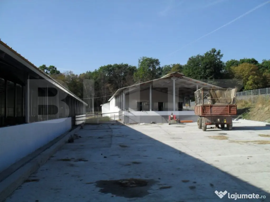 Hale si teren ,curte betonata , destinatii multiple 