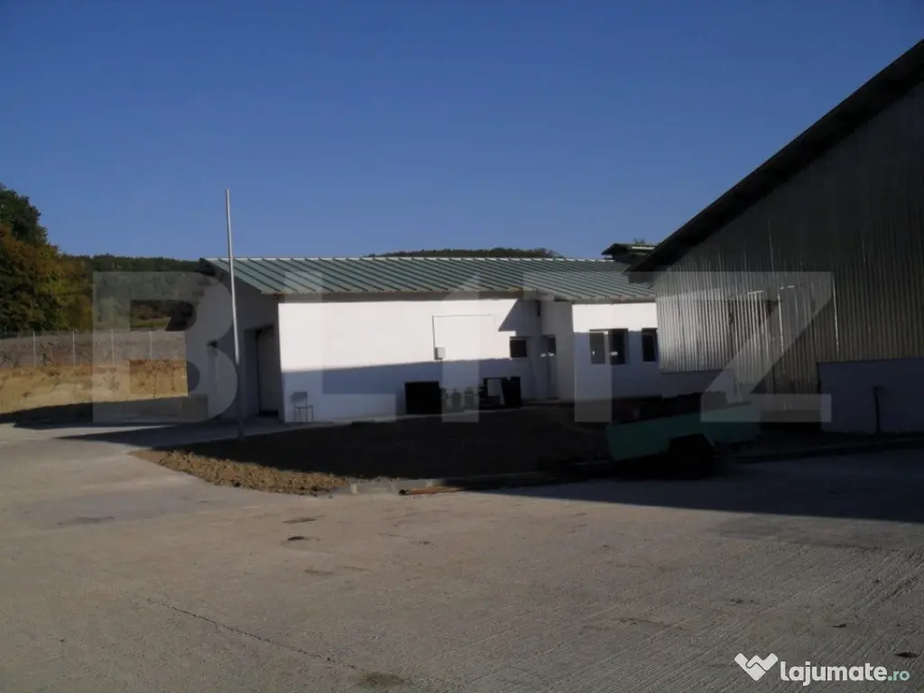 Hale si teren ,curte betonata , destinatii multiple 