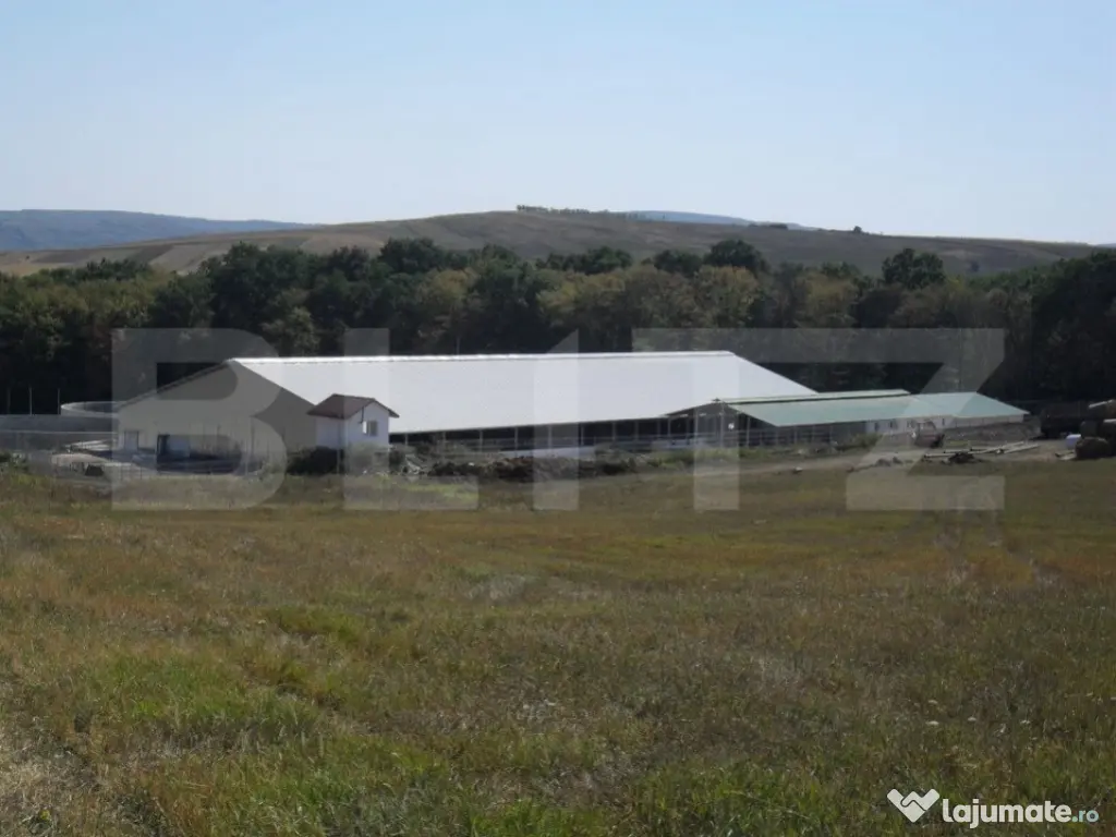 Hale si teren ,curte betonata , destinatii multiple 