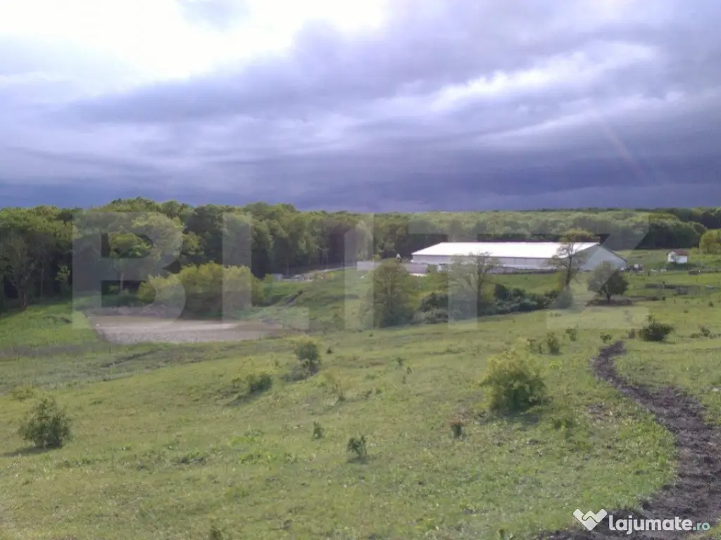 Hale si teren ,curte betonata , destinatii multiple 