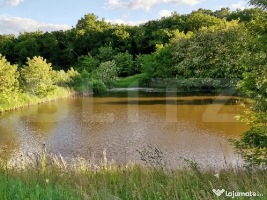 Hale si teren ,curte betonata , destinatii multiple 