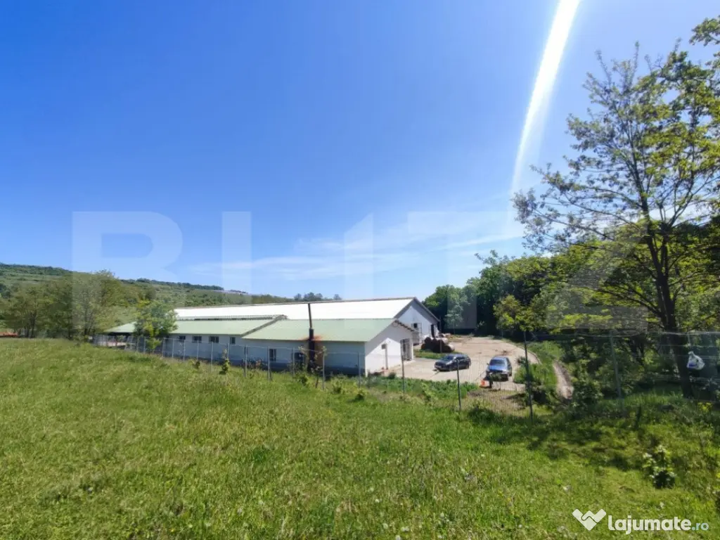 Hale si teren ,curte betonata , destinatii multiple 