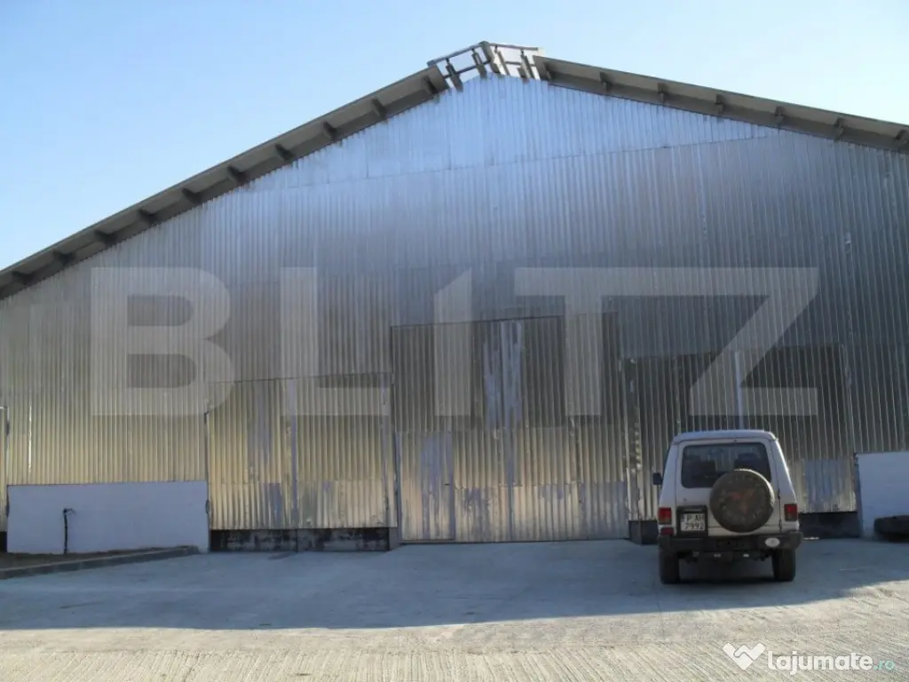 Hale si teren ,curte betonata , destinatii multiple 