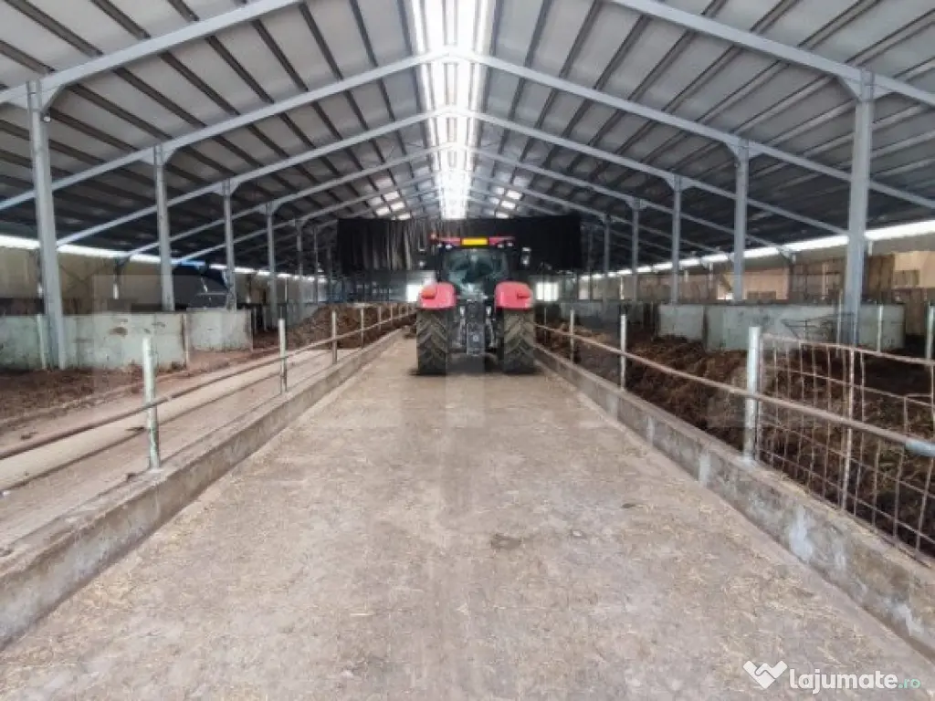 Hale si teren ,curte betonata , destinatii multiple 