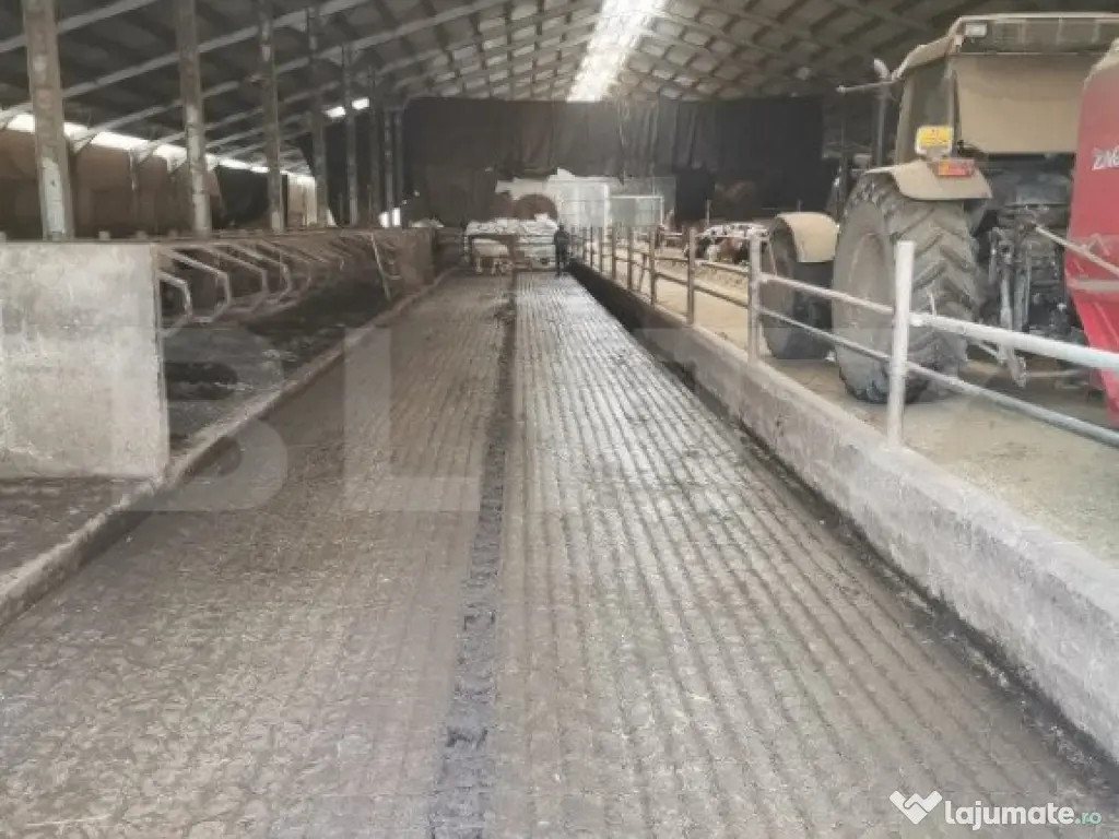 Hale si teren ,curte betonata , destinatii multiple 