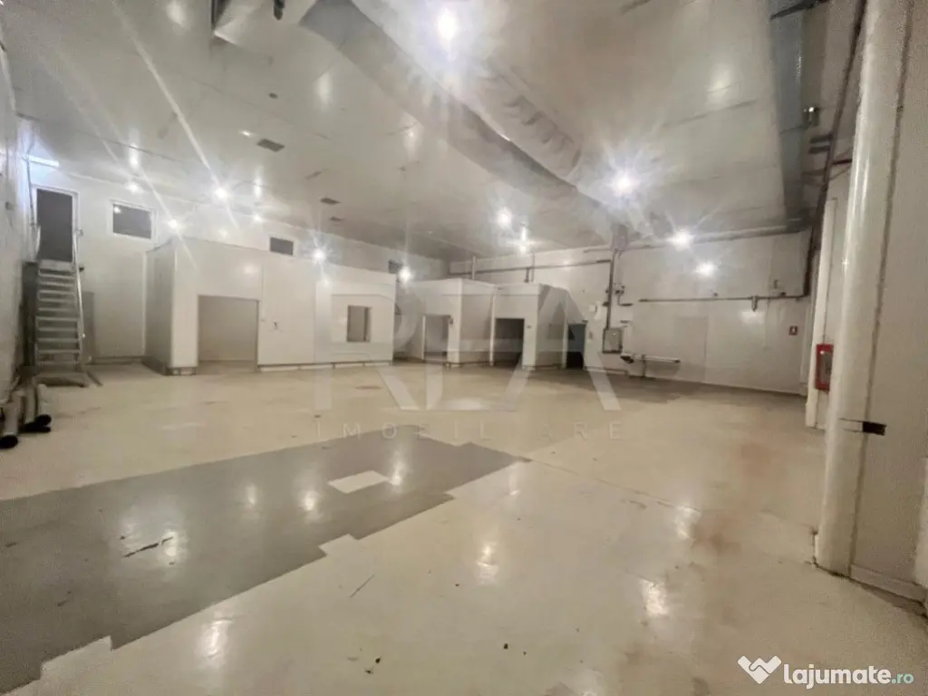 Inchiriere showroom Berceni ideal reprezentanta auto / retai 